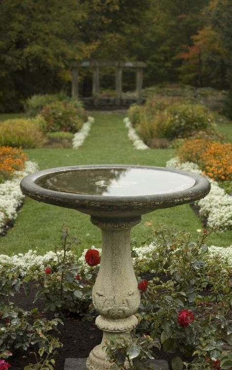 Bird Fountain Garden, Bird Bath In Landscaping, Vintage Bird Bath, Bird Bath Garden Flower Beds, Bird Baths In Garden, Bird Fountain Ideas, Garden With Bird Bath, Birdbath Ideas Landscaping, Water For Birds