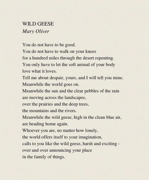 Wild Geese Mary Oliver, Bird Poems, Mary Oliver Poems, Wild Geese, Mary Oliver, Words Of Affirmation, Just Breathe, Days Of Our Lives, Body Love