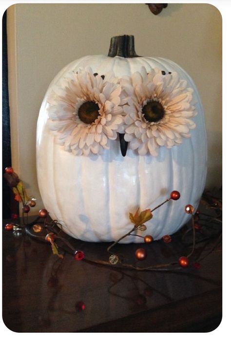 Pumpkin Owl Craft, Owl Pumkin Decoration Ideas, White Pumpkin Owl, Mummy Pumpkin Decorating, Owl Painted Pumpkin, Owl Pumpkin Painting, Owl Pumpkin Decorating, Halloween Pumpkins Painted Designs, Pumkin Decoration Ideas Easy