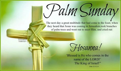 Palm Sunday Happy Palm Sunday Quotes, Palm Sunday Quotes, Quotes For Family, Happy Palm Sunday, Quotes From The Bible, Christmas Facebook Cover, Sunday Images, Jesus Is Risen, Baby Christmas Photos