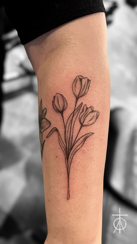 Tattoo uploaded by Claudia Fedorovici • Fine Line Tulips Tattoo by Claudia Fedorovici #finelinetattooartist #fineline #tulips #finetattoos #tattooartistsamsterdam #floraltattoo #claudiafedorovici #ascetictattoo #tempesttattooamsterdam Tulip Tattoo Outline, Tulip Flowers Tattoo, Three Tulips Tattoo, Vase Of Tulips Tattoo, Tulip Vine Tattoo, Tulip Tattoo Design For Women, Flower Vases Tattoo, 3 Tulips Tattoo, Tulip Forearm Tattoo