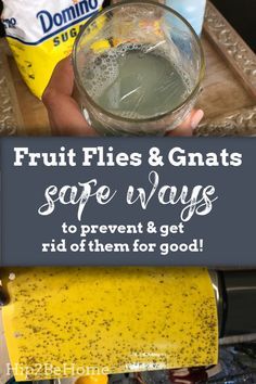 How To Get Rid Of Nats In The Kitchen, Get Rid Of Nats House, How To Rid Fruit Flies, How To Get Rid Of Fruit Flies And Nats, Rid Of Fruit Flies In House, How To Get Rid Of Gnats In The Kitchen, Catch Fruit Flies In House, How To Catch Fruit Flies In The House, How To Kill Gnats In The House