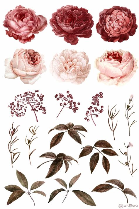 Watercolor Floral Clipart Rose Clipart Red Burgundy Flowers - Etsy Poland Burgundy Flower Painting, Aesthetic Flowers For Journal, Burgundy Watercolor Flowers, Jaehyun Favorite, Red Flower Background, Villa Logo, Red Floral Watercolor, Drawing Roses, Old Flowers