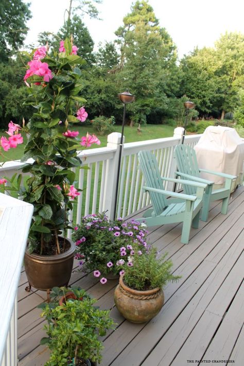 Behr Deck Over Colors, Behr Neutral Paint Colors, Behr Deckover, Outdoor Deck Design, Outdoor Deck Decorating, Deck Stain Colors, Backyard Goals, Deck Design Ideas, Deck Stain