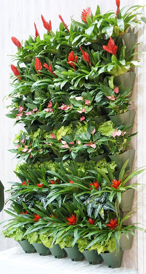 Vertical Garden Pots, Living Wall Garden, Green Wall Garden, Vertikal Garden, Vertical Garden Plants, Vertical Garden Planters, Tanaman Indoor, Vertical Garden Design, Vertical Vegetable Garden