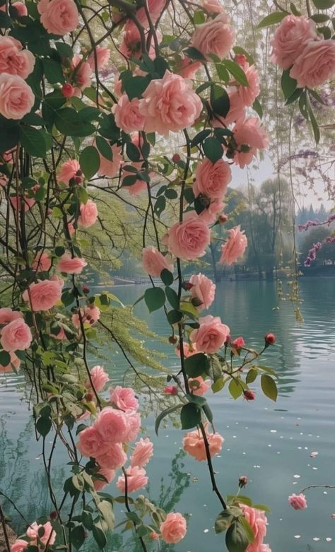 Pretty Landscapes Wallpaper, Pink Garden Aesthetic, Old Rose Wallpaper, Peony Flower Aesthetic, Willow Tree Wallpaper, Pink Floral Aesthetic, Rose Garden Wallpaper, Romance Garden, Peony Flower Wallpaper