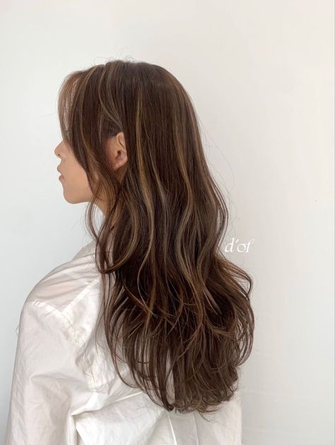 Brown Black Hair Color With Highlights, Hair Color Ideas For Beginners, One Highlight In Hair, Brown Hair W Subtle Highlights, Asian Dyed Hair Brown Balayage Highlights, Highlights Not From The Roots, Hair Dye Ideas For Long Brown Hair, High Contrast Babylights, Blond Highlights On Reddish Brown Hair