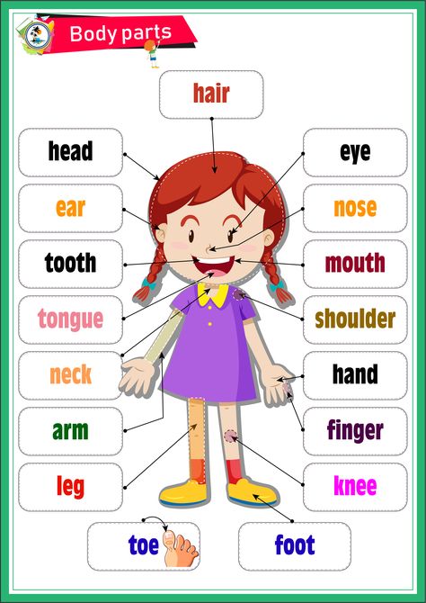 Body Parts Parts Of The Body For Kids, تصنيف الحيوانات, Body Parts Preschool Activities, Kertas Kerja Prasekolah, Body Parts For Kids, Tatabahasa Inggeris, Body Parts Preschool, Teach English To Kids, Materi Bahasa Inggris