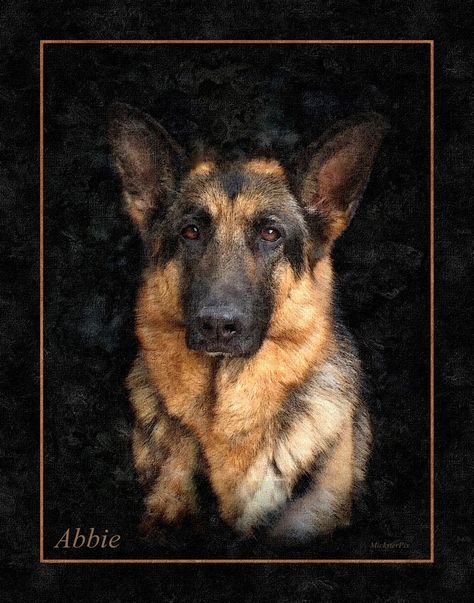 German Shepherd Portrait, Watercolor Effects, Abstract Landscape Painting, Digital Watercolor, Landscape Painting, Abstract Landscape, German Shepherd, Landscape Paintings, Oil Painting