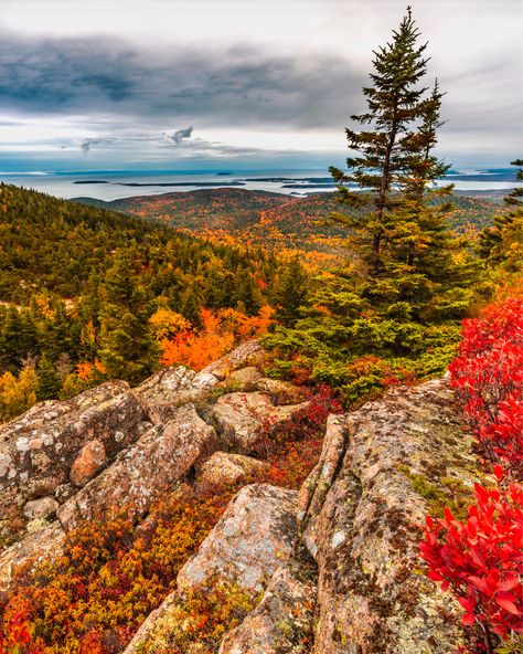 Acadia National Park Fall, Maine National Park, Acadia Maine, Maine In The Fall, Maine Winter, National Park Itinerary, Acadia National Park Maine, Bar Harbor Maine, Coastal Maine