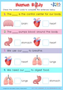 Internal Organs Worksheet, Printable PDF for Kids My Body Worksheet For Grade 2, Internal Organs Worksheet, Human Body Worksheets For Kids, Human Body Systems Projects, Body Systems Project, Human Body Lesson, Worksheets For Grade 2, Classifying Animals, Human Body Printables