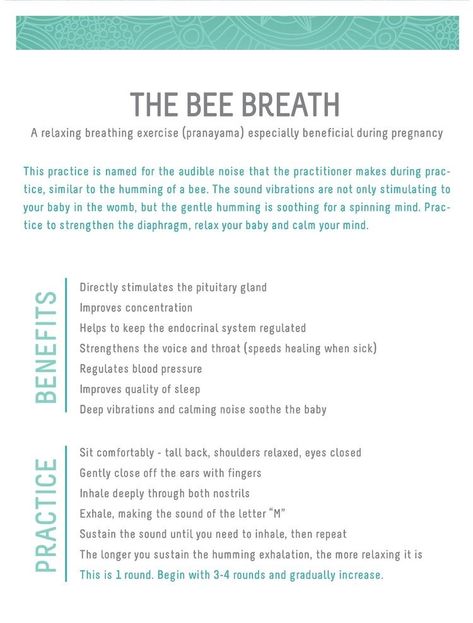 Brahmari Pranayama, Bhramari Pranayama, Breathe Work, Pranayama Breathing Exercises, Yoga Breathing Techniques, Yoga Prenatal, Pranayama Breathing, Pranayama Yoga, Breath Work