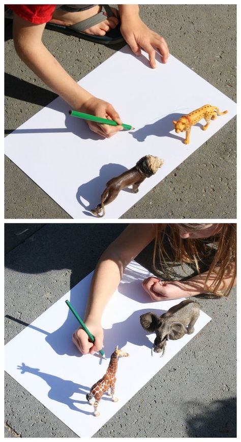 Trace toy animal shadows. Kunst For Barn, Animal Shadow, Shadow Drawing, Owl Pet, Animal Activities, Door Ideas, Drawing Challenge, Safari Animals, Anchor Charts