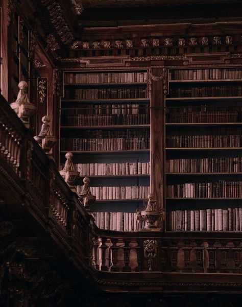 Belle Aesthetic, متحف فني, Era Victoria, Dark Academia Wallpaper, Dark Acadamia, Aesthetic Dark Academia, Castle Aesthetic, Old Library, Library Aesthetic