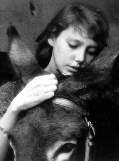 ✖ Anna Wiazemsky in "Au hasard Balthazar", Robert Bresson, 1966. Anne Wiazemsky, Robert Bresson, Cinema Video, Teenage Wasteland, Michelangelo Antonioni, Francois Truffaut, French Movies, Top Film, Jean Luc Godard