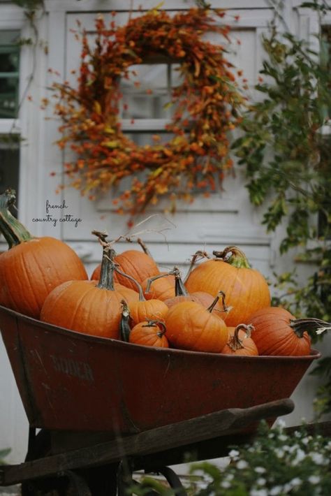 Simple and charming Autumn Greenhouse - French Country Cottage Halloween Decorations Outdoor Porch, Modern Fall Decor, Fall Pumpkin Decor, Fall Decor Inspiration, Decor Shabby Chic, Modern Fall, French Country Cottage, Autumn Beauty, Autumn Cozy