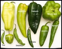 20 Different Types of Peppers and Their Delicious Uses Types Of Peppers, Salsa Picante, Baked Apple Pie, Olive Oil Cake, Green Peppers, Chile Pepper, Chilli Pepper, Food Info, Spices And Herbs