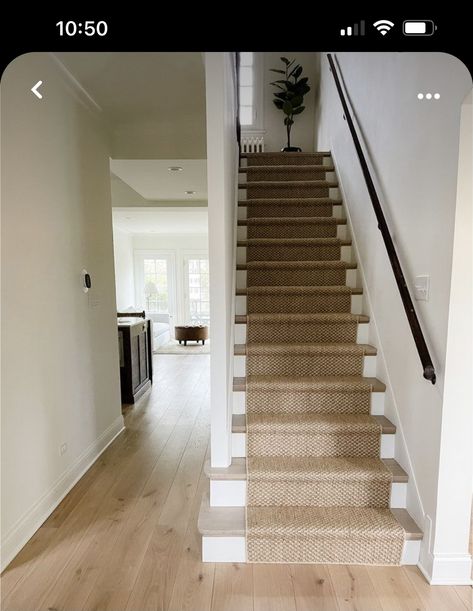 Stair Runner New Build, Stair Runner Wooden Stairs, Jute Stair Runner Staircases, Installing Carpet Runner On Stairs, Stair Runner On Light Wood, Wood Stairs Runner, Wooden Staircase Runner, Hardwood Stairs With Carpet Runner, Woven Stair Runner