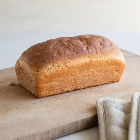 Gluten Free Sandwich Bread Recipe, Gluten Free Quotes, Einkorn Bread, Gluten Free Sandwich Bread, Best Gluten Free Bread, Einkorn Recipes, Gluten Free Cookbooks, Gluten Free Sandwiches, Pan Sin Gluten