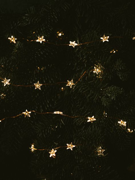 Lighted white star string light photo – Free Christmas Image on Unsplash Christmas Lights Wallpaper, Christmas Tree Wallpaper, Xmas Wallpaper, Dark Christmas, New Year Wallpaper, Christmas Phone Wallpaper, Cute Christmas Wallpaper, Holiday Wallpaper, Apple Watch Wallpaper