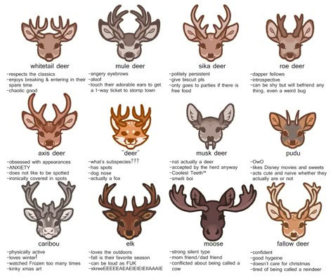 Types Of Deer, Axis Deer, Unusual Animal Friendships, Personality Chart, Animal Friendships, Deer Art, Creature Drawings, Extinct Animals, A Monkey