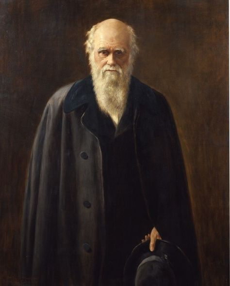 The Royal Society on Instagram: “#OnThisDay in 1809, Charles Darwin was born. Darwin stands as a major figure in the history of science: he revolutionised our understanding…” School Book Covers, Royal Society, Historical People, History Of Science, Charles Darwin, Great Paintings, Art Uk, Old People, Celebration Of Life