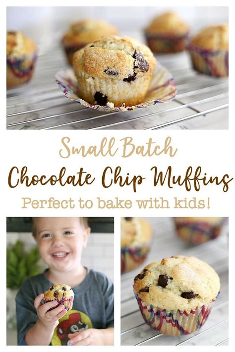 Mini Chocolate Muffins For Kids, Choclate Chip Muffins, Batch Breakfast, Homemade Chocolate Chip Muffins, Best Chocolate Chip Muffins, Chocolate Chip Muffins Easy, Mini Muffin Recipe, Choc Chip Muffins, Mini Chocolate Chip Muffins