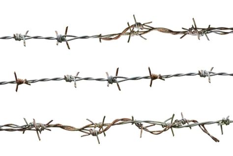 5 Different Types of Barbed Wire - Home Stratosphere Barbed Wire Fence, Vinyl Sleeve, Barbed Wire Fencing, Wire Mesh Fence, 55 Gallon Drum, Psychiatric Hospital, Mesh Fencing, Security Fence, Immaculate Heart