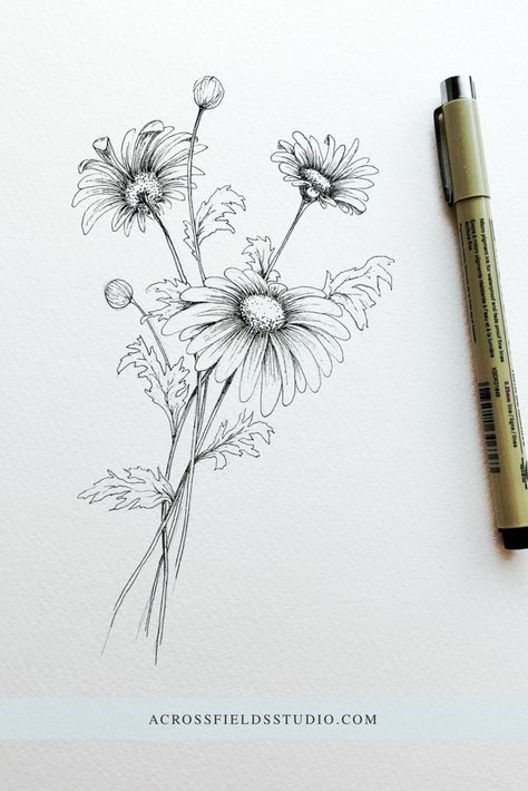 Black and white ink drawing. Floral bouquet of daisies. Drawn with micron pen. Ink sketch. #inkdrawing #pensketch #linework | @acrossfieldsstudio Daisy Flower Drawing, Daisy Drawing, Flower Bouquet Drawing, Drawing Floral, Tattoo Zeichnungen, Daisy Tattoo, Flower Art Drawing, Flower Sketches, 수채화 그림