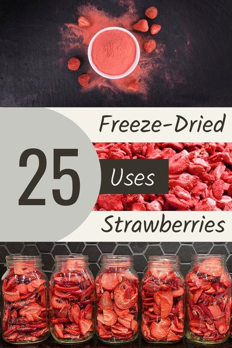 Do you want to learn how to freeze dry strawberries and discover the amazing ways they can be used? Freeze-dried strawberries are one of the healthiest and most flavorful snacks around, and they can also be used to add a delicious dimension to all kinds of recipes. In this guide, we'll show you how to freeze dry strawberries and showcase 25 of the best ways to use them. Get ready to get creative, because the possibilities are truly endless! Dehydrated Strawberries Recipes, Uses For Freeze Dried Strawberries, Freeze Dried Fruit Uses, Freeze Drying Recipes, Healthy Freeze Dried Snacks, Rehydrating Freeze Dried Food, Recipes With Freeze Dried Strawberries, Freeze Dried Recipes, Freeze Dried Strawberry Recipes