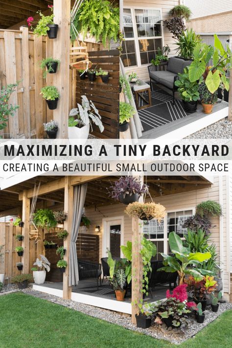 My tiny backyard updates this summer, including tons of small townhouse patio ideas, ideas for tropical plants to create privacy, and ideas for gardening in a small backyard. Townhouse Patio Ideas, Townhouse Patio, Backyard Updates, Small Townhouse, Tiny Backyard, Backyard Gardens, Jardim Diy, Backyard Small, Small Backyard Gardens