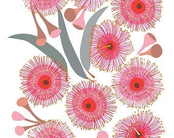 JocelynProustDesigns on Etsy Pink Eucalyptus, Australian Wildflowers, Australian Flowers, Australian Native Flowers, Australian Flora, Australian Wildlife, Blossom Print, Australian Native, Arte Inspo