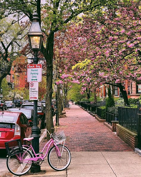 Bret Clancy on Instagram: “Ready to ride into the weekend 🌸🚲🌸 [BretClancy.Etsy.com]” Massachusetts Aesthetic, Essay English, Beverly Massachusetts, Boston Aesthetic, City Life Aesthetic, East Coast Travel, Washington Dc Travel, Dc Travel, New Animal Crossing