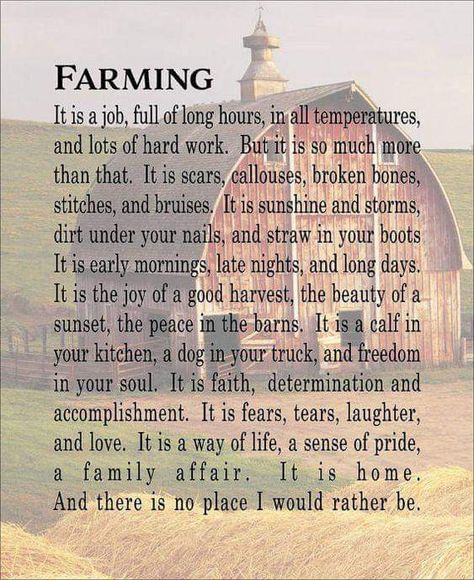 Farm Life Quotes, Farmer Quotes, Farm Quotes, Home Wood Sign, Wood Signs For Home, Country Girl Quotes, Home Wood, Country Quotes, Farm Scene