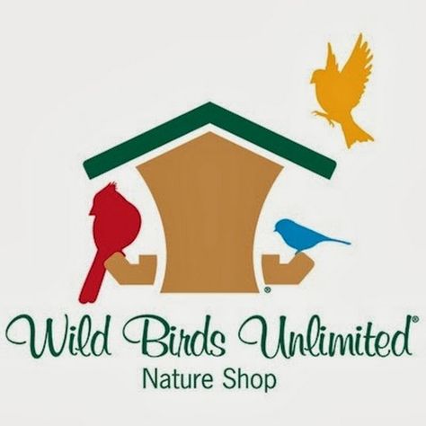 Wild Birds Unlimited, Inc. You Tube Channel. Wild Birds Unlimited, Hummingbird Nectar, Glass Hummingbird Feeders, Bird Bath Fountain, What Is A Bird, Hummingbird Flowers, How To Attract Birds, Humming Bird Feeders, Bird Seed