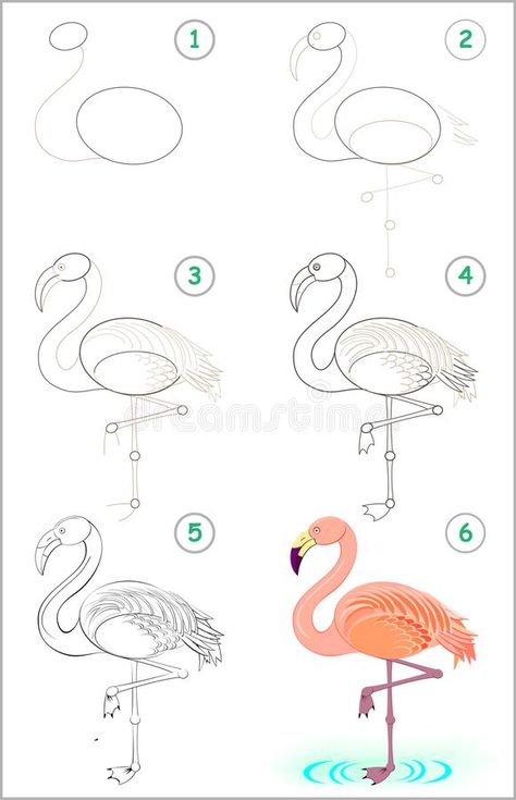 Page shows how to learn step by step to draw a cute flamingo. Developing children skills for drawing and coloring. vector illustration Draw A Flamingo, Flamingo Drawing, Flamingo Illustration, Cute Flamingo, Flamingo Painting, Cartoon Image, Easy Drawings For Kids, Flamingo Pattern, Vector Cartoon