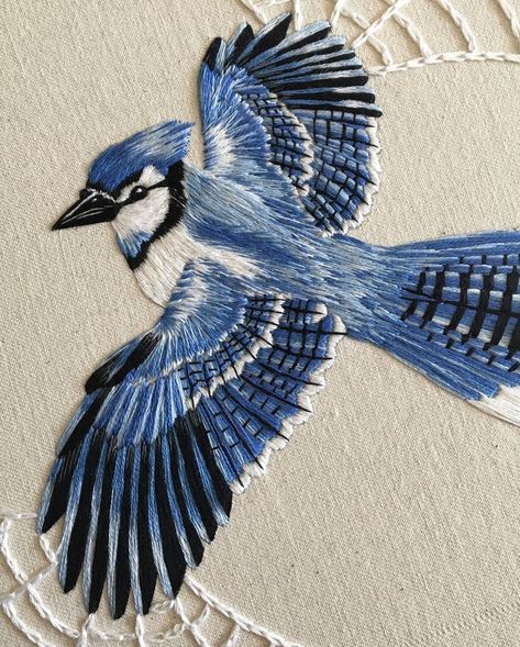 I’m super excited and grateful that my bluejay embroidery will be featured in this year’s edition of @windhover_  And next Friday April 13th it will be on display at @artspacenc for the Windhover release party, go and support!...#embroidery #handembroidery #contemporaryembroidery #embroideryart #hoopart #needlework #modernneedlework #dmcembroidery #dmcthreads #needleworksociety #embroideryinstaguild #paintingwiththread #bluejay #spiderweb Sulaman Pita, Pola Bordir, Embroidered Bird, Contemporary Embroidery, Bird Embroidery, Thread Painting, Animal Embroidery, 자수 디자인, Sewing Embroidery Designs