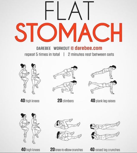 Abb Workouts, Flat Stomach Workout, Workout For Flat Stomach, Quick Workout Routine, At Home Workout Plan, Flat Stomach, Gym Workout Tips, Fat Burning Workout, Belly Workout