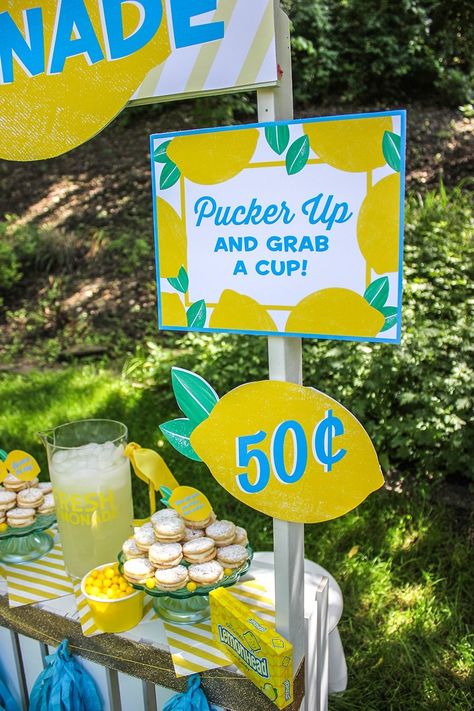 Lemon Cookie Recipe, Kids Lemonade Stands, Lemonade Stand Sign, Lemonade Stand Party, Lemon Themed Party, Diy Lemonade Stand, Kids Lemonade, Diy Lemonade, Lemonade Bar