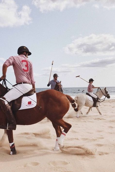 The Yale/Harvard Polo match is insanely competitive! Polo Sport Aesthetic, Harvard Yale, Sport Aesthetic, Beach Looks, Animal Movement, Polo Horse, Sport Of Kings, Polo Match, Sports Aesthetic