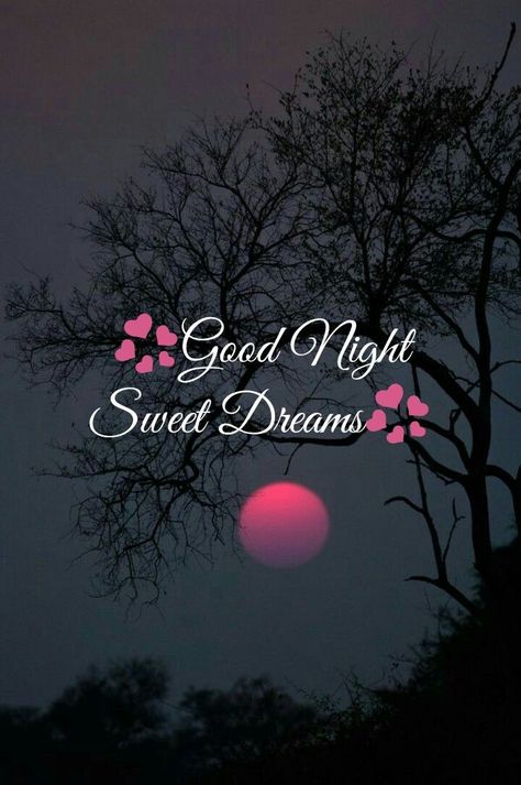 Good Night Greetings Quotes, Beautiful Good Night Images With Quotes, Good Night Sweet Dreams My Love, Beautiful Good Night Images Sweet Dreams, Good Night Wishes Good Night Wishes Beautiful, Good Night Friend Quotes, Good Night Sweet Dreams Cute Beautiful, Sweet Dreams Good Night Gif, Good Night Sweet Dreams I Love You