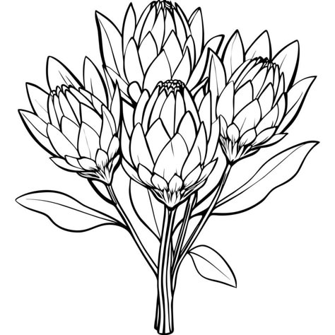 Protea Flower Drawing, Protea Line Drawing, Protea Drawing, Book Page Design, Flower Black And White, Protea Art, Black And White Line Art, White Line Art, Protea Flower