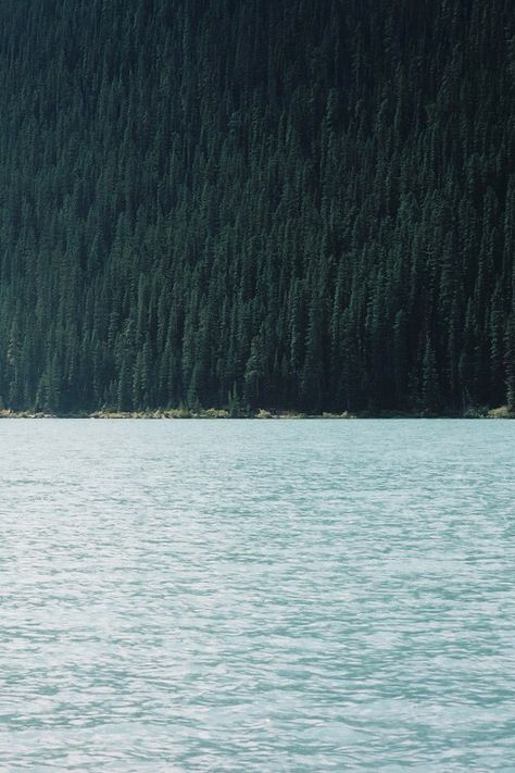 Lake Louise, Into The Woods, Pine Trees, Oh The Places Youll Go, Nature Beauty, Beautiful World, Wonders Of The World, The Great Outdoors, Mother Nature