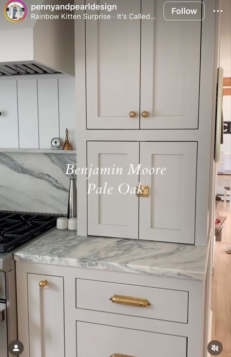 Benjamin Moore Pale Oak, Cabinet Paint Colors, Cabinet Color, Kitchen Cabinet Colors, Kitchen Inspiration Design, Kitchen Redo, Kitchen Paint, Cabinet Colors, Paint Colors For Home