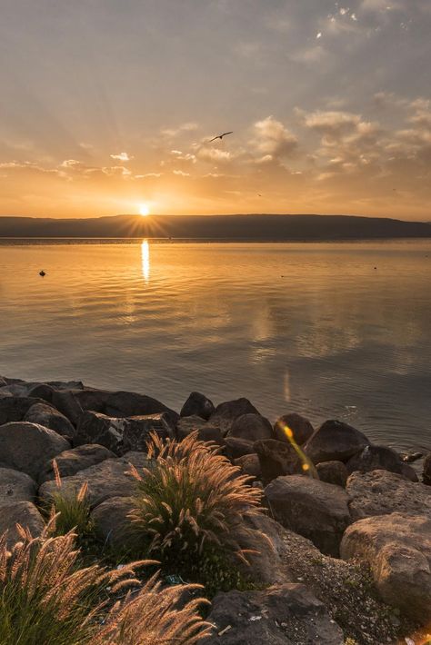 Sea Of Galilee Photography, Colorful Sunsets, The Sea Of Galilee, Nothing Gold Can Stay, Sea Of Galilee, At The Sea, Sunsets And Sunrises, Inspiration Painting, The Holy Land