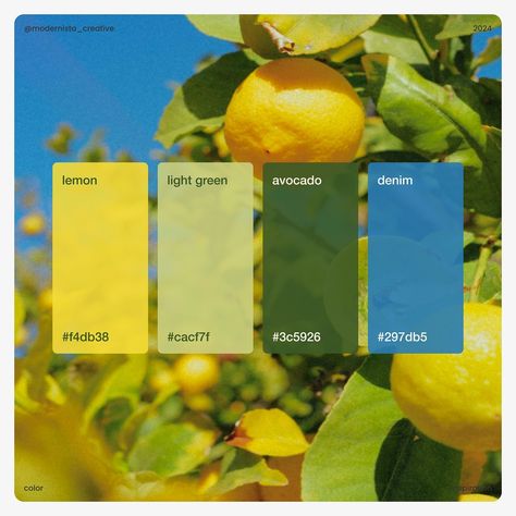 Lemon Yellow Palette, Lemon Branding Design, Lemon Palette, Lemon Color Palette, Lemon Branding, Yellow Colour Palette, Bouquet Of Daisies, Summer Color Palettes, Green Branding