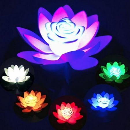 Please kindly noted that this item is sold by sijiu from Joybuy marketplace. Product Description: Item Type:Floating Flower Lamp Material:EVA Color:Red,Orange,Green,Purple,White,Gradation Size:18 cm/7.09" Are Batteries Equipped:Including Battery:3*AG13 Button Battery Package Include: 1 x Floating Flower Lamp Notes: 1. Please allow 1-3 cm difference due to manual measurement and 3-5 g for the difference between different colors. 2. Due to the screen difference, the color may be a little different Floating Pool Lights, Flower Led, Solar Flower Lights, Lotus Garden, Lotus Lamp, Floating Flower, Solar Flower, Floating Garden, Pond Lights