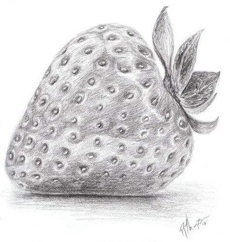 Realistic Strawberry Drawing Pencil, Strawberry Sketch Drawing, Strawberry Sketch Pencil, Strawberry Pencil Drawing, Fruits Drawing Pencil, Fruit Sketch Pencil, Fruit Drawing Pencil Sketches, Fruit Sketches, Fruits Sketch