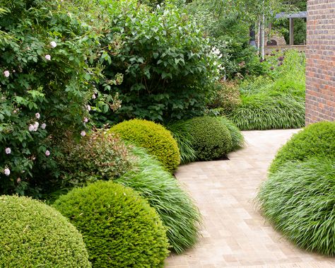 Landscaping with evergreens: 9 ways to use in garden design | Landscaping With Evergreens, Evergreen Landscape, Parterre Garden, Landscape Garden Design, Garden Hedges, Evergreen Garden, The New Forest, Evergreen Plants, Landscape Garden