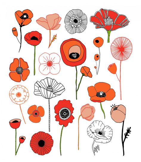 Lisa Congdon, Arte Doodle, Poppies Tattoo, Joan Baez, Art Tumblr, Plant Drawing, Craft Classes, Art Et Illustration, Flower Doodles